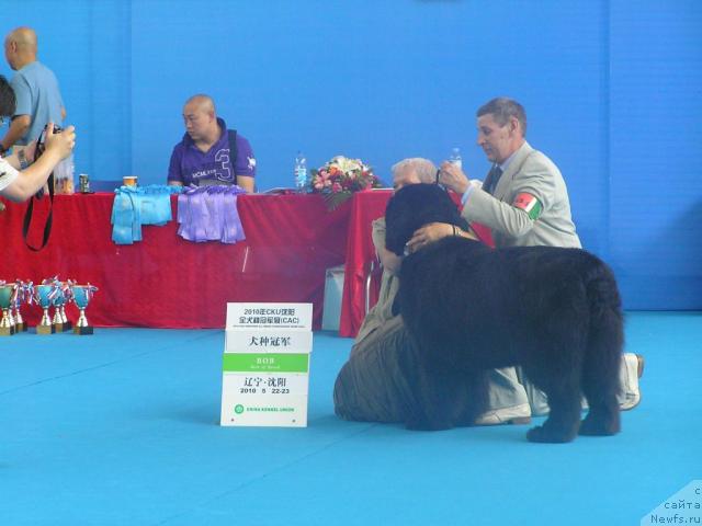 Фотография № 43071