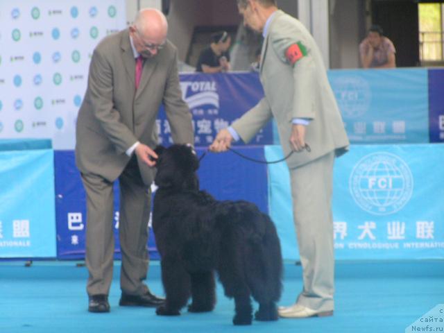 Фотография № 43072