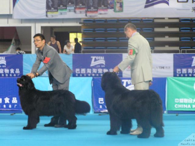 Фотография № 43075