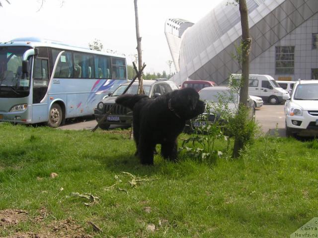 Фотография № 43077