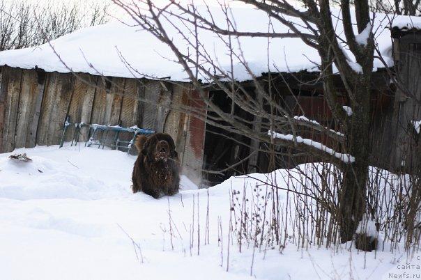 Фото: Svetlana Samarceva (Светлана Самарцева)