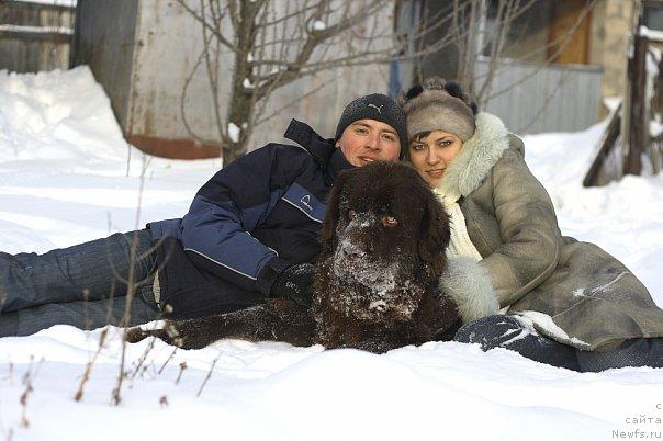 Фото: ньюфаундленд Lesnaja Skazka Korolevskiy Medved (Лесная Сказка Королевский Медведь), Dmitriy Samarcev (Дмитрий Самарцев), Svetlana Samarceva (Светлана Самарцева)