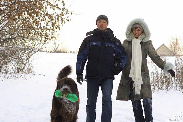 Фото: ньюфаундленд Lesnaja Skazka Korolevskiy Medved (Лесная Сказка Королевский Медведь), Dmitriy Samarcev (Дмитрий Самарцев), Svetlana Samarceva (Светлана Самарцева)