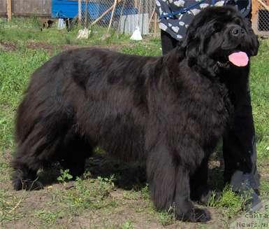 Фотография № 431