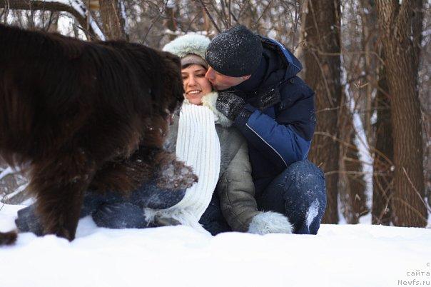 Фото: ньюфаундленд Lesnaja Skazka Korolevskiy Medved (Лесная Сказка Королевский Медведь), Dmitriy Samarcev (Дмитрий Самарцев), Svetlana Samarceva (Светлана Самарцева)