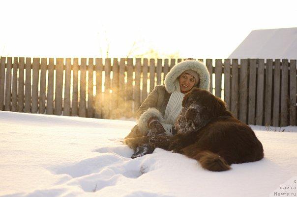 Фото: ньюфаундленд Lesnaja Skazka Korolevskiy Medved (Лесная Сказка Королевский Медведь), Svetlana Samarceva (Светлана Самарцева)