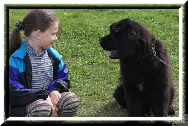 Фотография № 43141