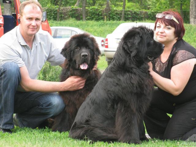 Фотография № 43176