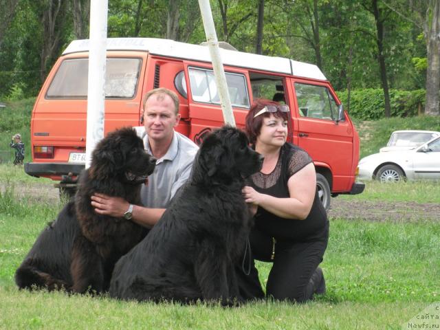 Фото: ньюфаундленд Zlatobor Bogatyr Kara Deniz (Златобор Богатырь Кара Дениз), ньюфаундленд Assol Anjelika (Ассоль Анжелика)
