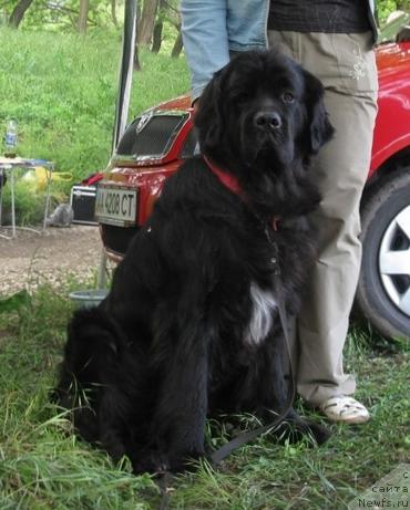 Фотография № 43178