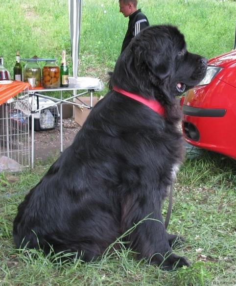 Фотография № 43179