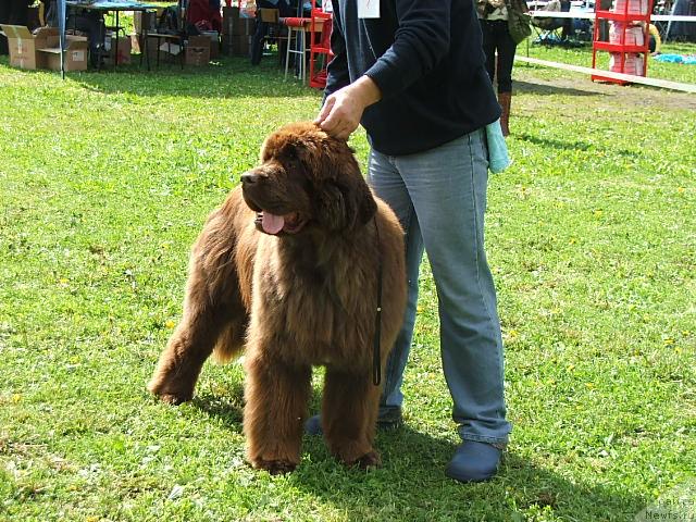 Фотография № 43183