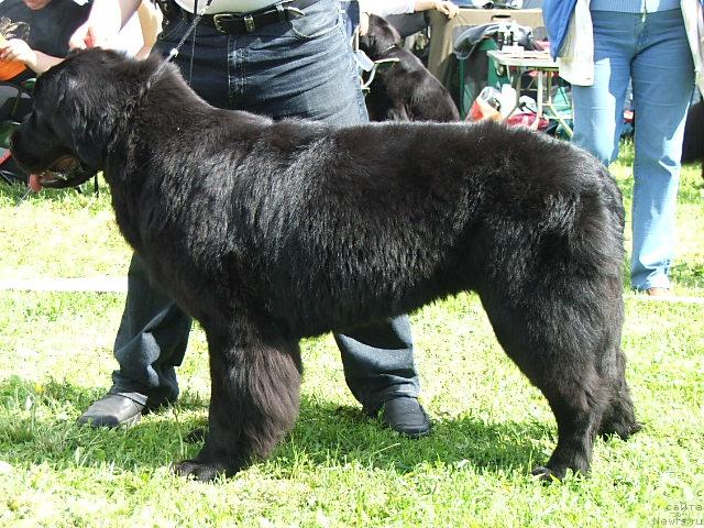 Фотография № 43186