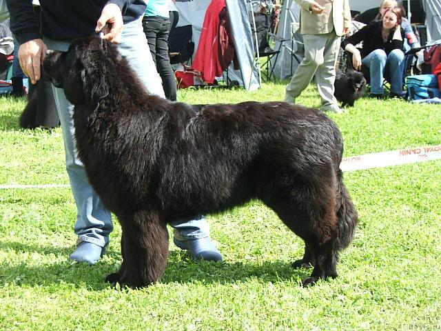 Фотография № 43187