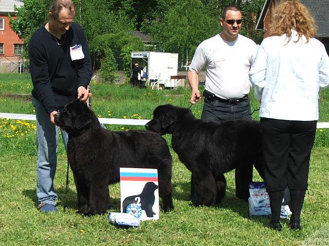 Фотография № 43189