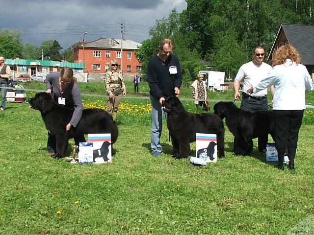 Фотография № 43190