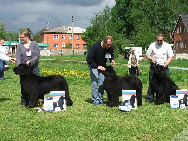 Фотография № 43191