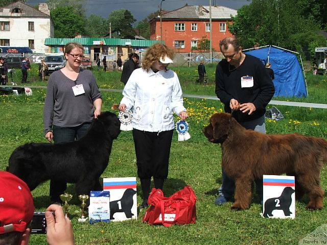 Фотография № 43192