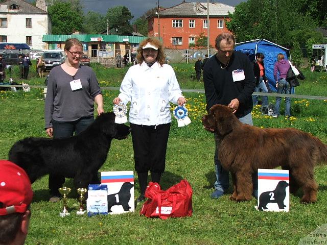 Фотография № 43193