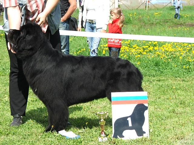 Фотография № 43195