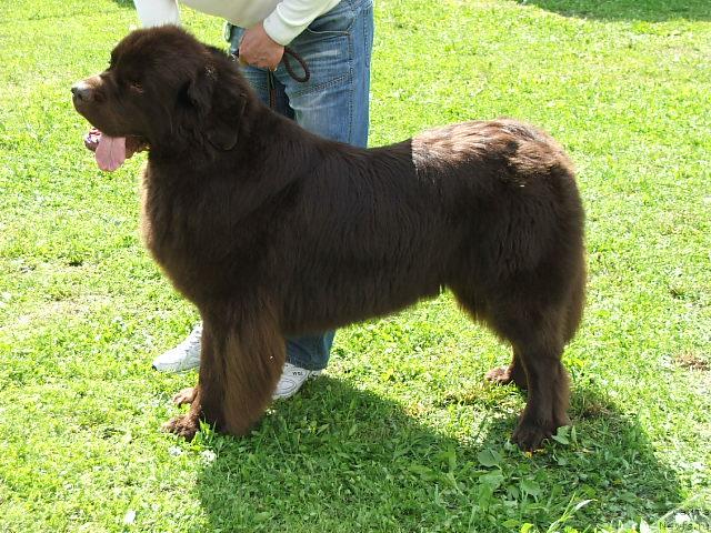 Фотография № 43198