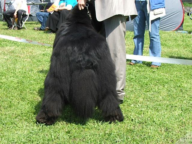 Фотография № 43199