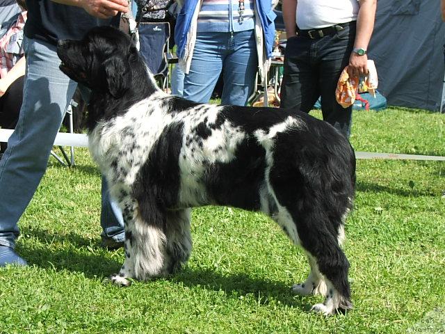 Фотография № 43206