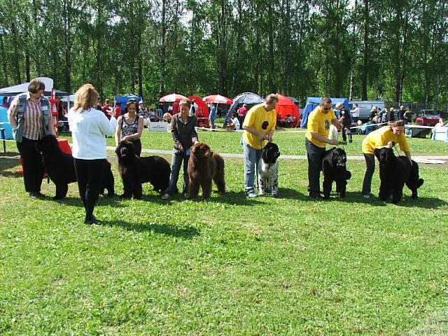 Фотография № 43210