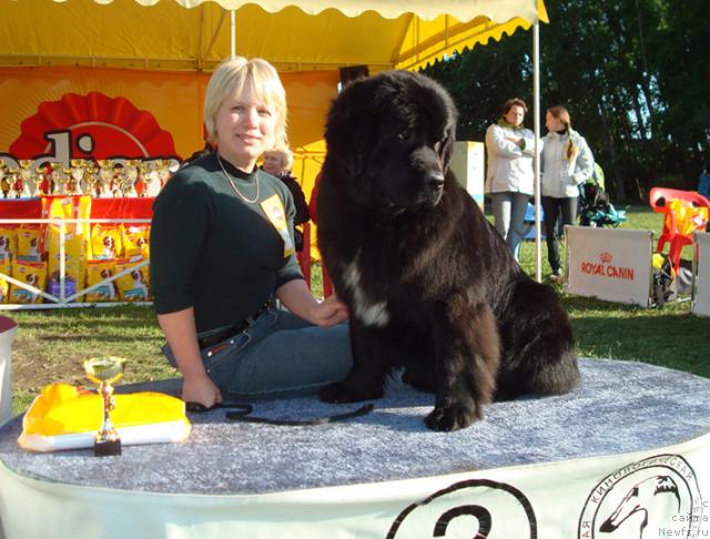 Фотография № 43271