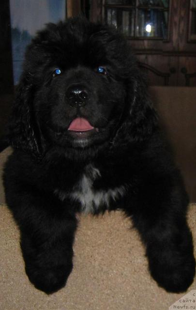 Фото: Leslley-Sia Flover