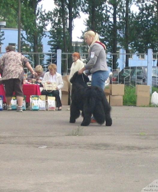 Фотография № 43276