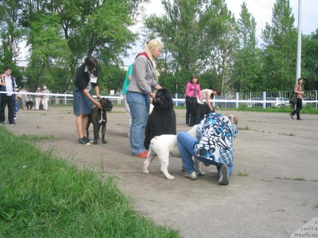 Фотография № 43278