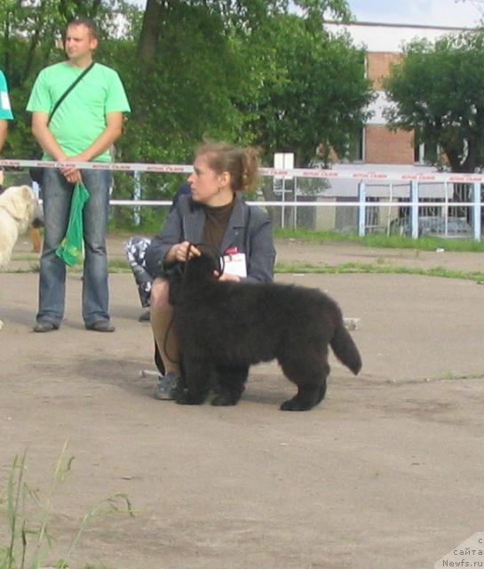 Фотография № 43280