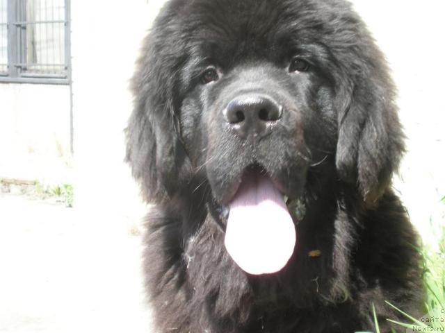 Фотография № 43281