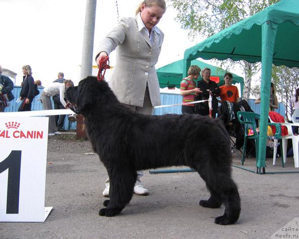 Фотография № 43305