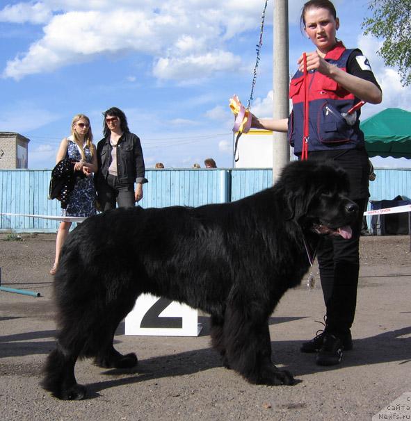 Фотография № 43308