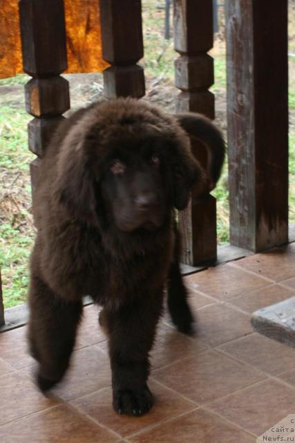 Фотография № 43310