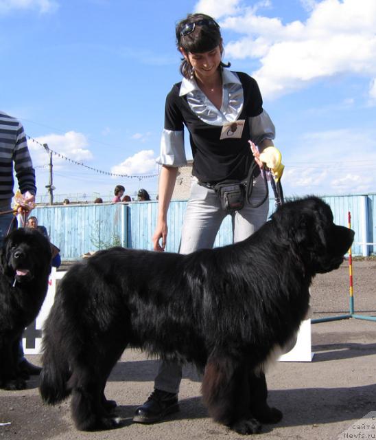 Фотография № 43312