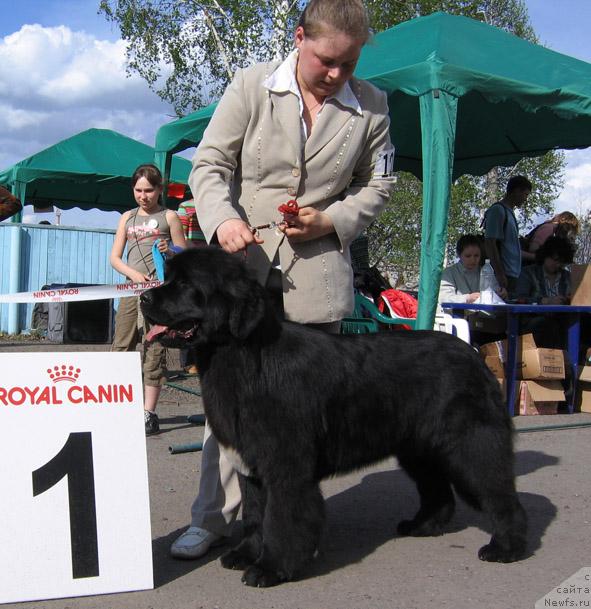 Фотография № 43313