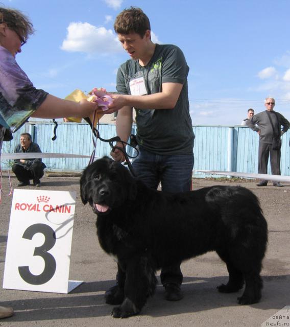 Фотография № 43314