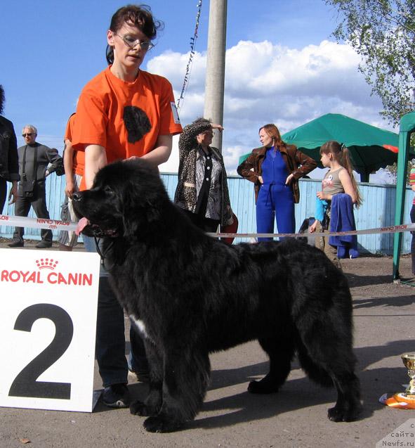 Фотография № 43315