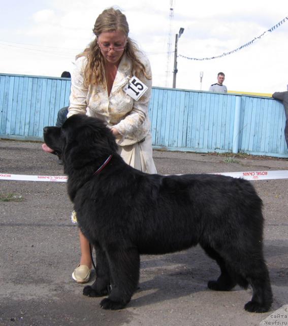 Фотография № 43316