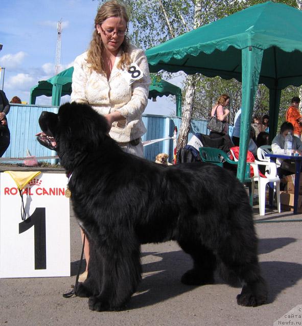 Фотография № 43317