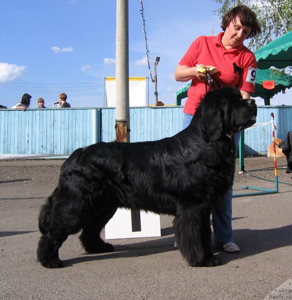 Фотография № 43318