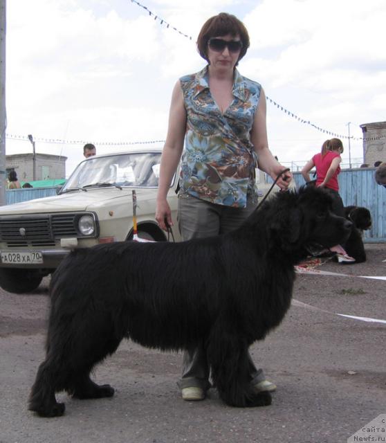 Фотография № 43319