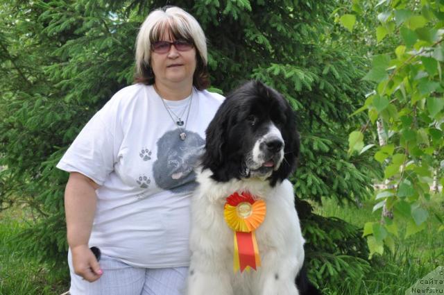 Фотография № 43324