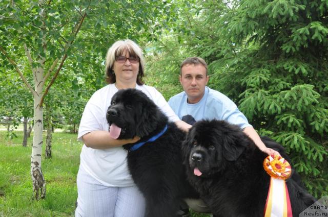 Фотография № 43326