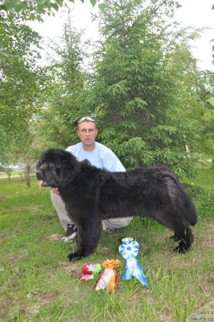 Фотография № 43327