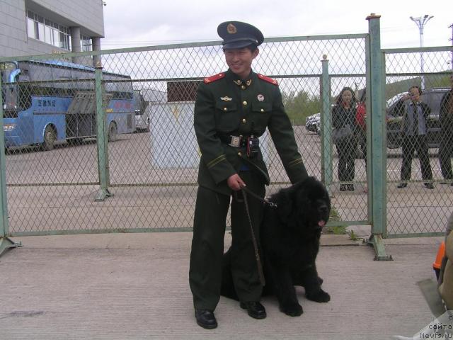 Фотография № 43339