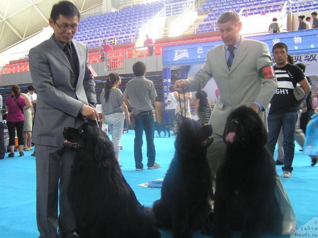 Фотография № 43341